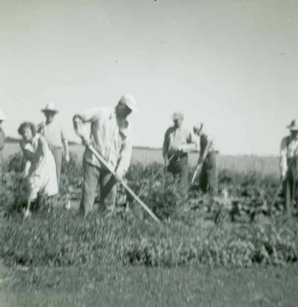 A group of people work together in a garden.