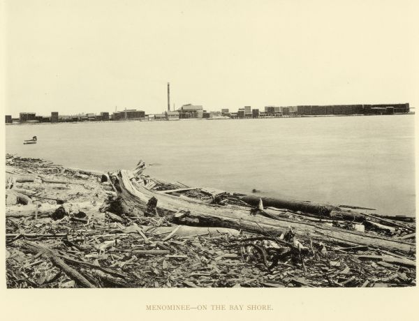 The bay shore of Menominee filled with driftwood.