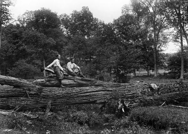 Two men, W.M. Smith and W.H.D., rest on a large log over Little Bear Creek.