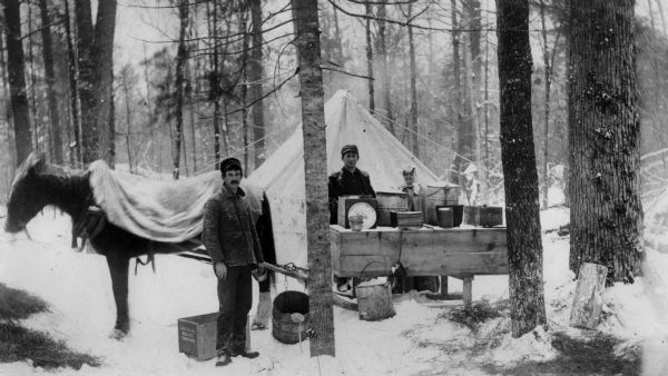 Lumber camp cooking crew at the hot lunch sled in the woods. There is a tent set up in the background, and a horse hitched to the sled on the left. Foreman Mike Baltus is standing behind the sled with a female cook. A male cook is standing next to a box labeled "National Biscuit Company."