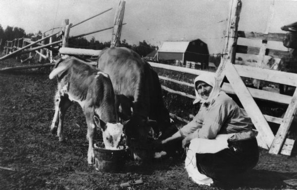 Maria Ketola crouching near cows in an enclosure. The animals are drinking from buckets.