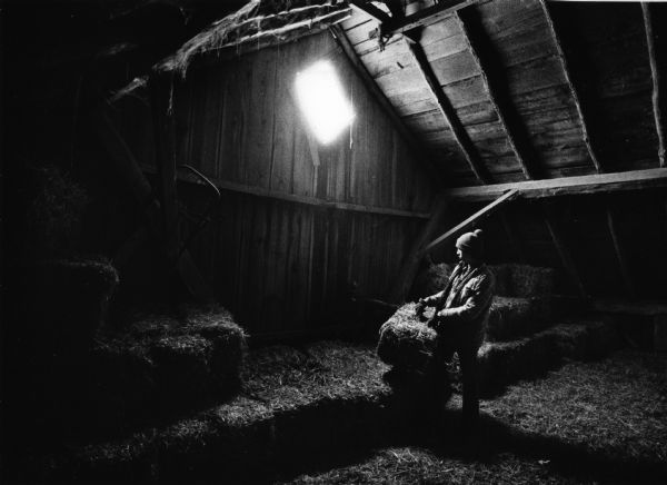 Young man wearing a knit cap and flannel shirt stacking bales of hay in a barn.