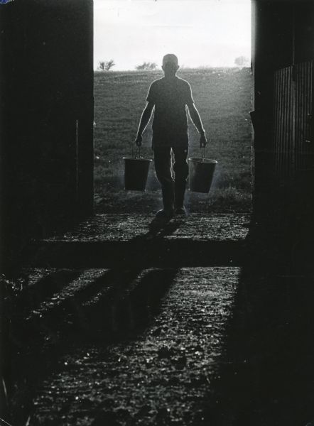 Dale Gross (1908-1980) in silhouette carrying two pails into a barn.

