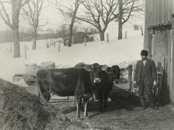 Farmer and two cows standing outside near a barn in winter.