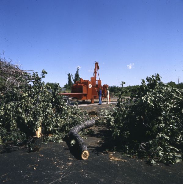 Two men stand near a piece of machinery used to cut trees. An American Elm removed to prevent the spread of Dutch Elm Disease is laying in the foreground.