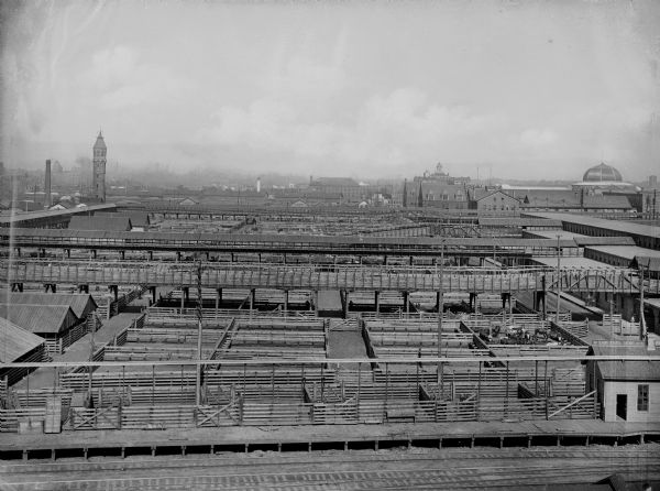 Elevated view of Chicago Union Stock Yards.