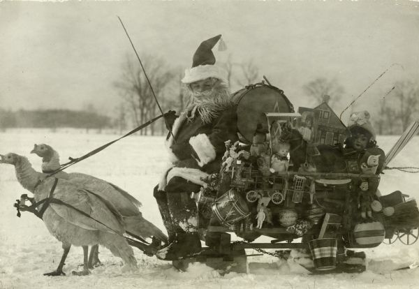 Santa Claus is sitting on his sleigh, which is being pulled by two turkeys in harness in a snow-covered field with trees and hills in the background. Santa is wearing his traditional fur-trimmed suit. The sleigh is crammed with toys, dolls and musical instruments.