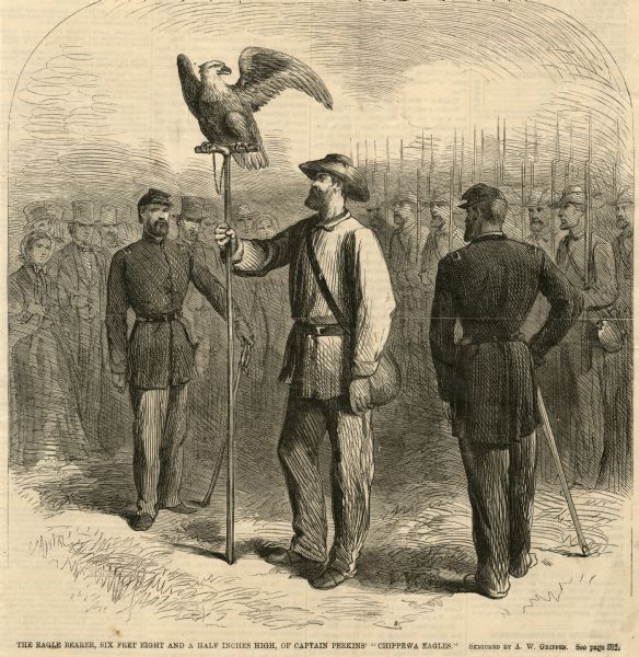 Engraving of Old Abe, mascot of the 8th Wisconsin Civil War Voluntary Infantry, displayed for a crowd. The eagle bearer holds Old Abe's staff perch while two other uniformed soldiers stand nearby. In the background is an indistinct crowd of soldiers with bayonets pointing skyward, and well-dressed onlookers watching the spectacle.<p>Text at bottom reads "The Eagle Bearer, six feet eight and a half inches high, of Captain Perkins' "Chippewa Eagles." Sketched by A.W. Grippen."