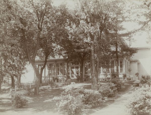 View of the East lawn at Villa Louis dotted with trees and shrubs, with the house in the background. A dog is resting on a path on the right.