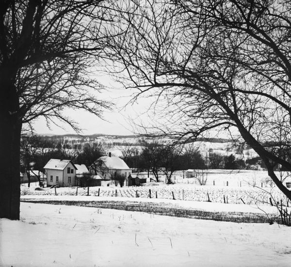View through trees of snow-covered houses next to a field with hills in the background.