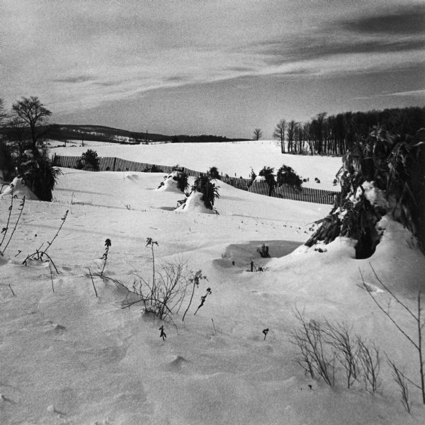 A field with haystacks is covered with snow in winter. There is a fence in the middle of the landscape, and trees are visible in the background.