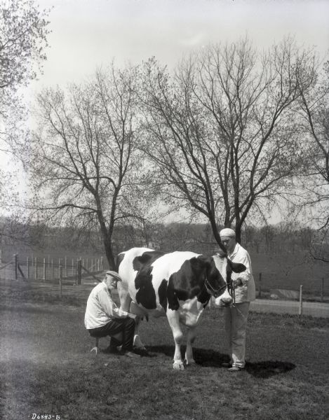 Dr. Stephen Moulton Babcock seated on a stool and milking a cow. Another man stands near the head of the cow. They are in a fenced field near a road, most likely University of Wisconsin farm land in or near Madison, Wisconsin. Trees are beginning to leaf out in the background.