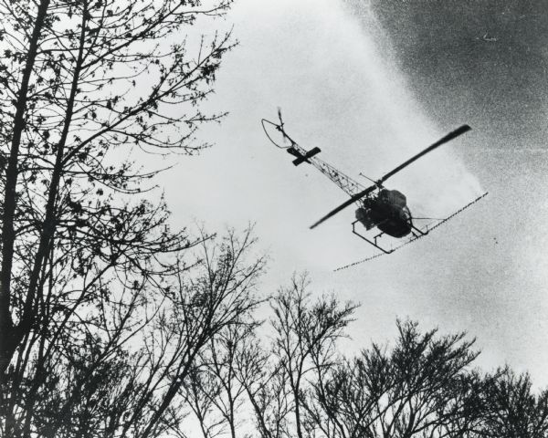 Helicopter treating elm trees with DDT to kill beetles that carry Dutch Elm Disease.