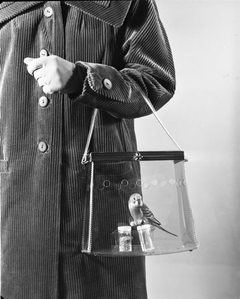 The arm of a woman wearing a long corduroy coat is holding a clear plastic purse with a parakeet on a perch inside. There are small jars of seed and water for the bird inside the purse, and air holes line this unusual accessory.