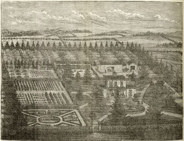 Engraved view of a house surrounded by gardens, an evergreen shelter belt and ornamental hedges.
