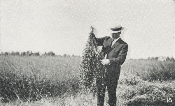 Man in a coat and hat outdoors in a field holding a bunch of alsike clover.