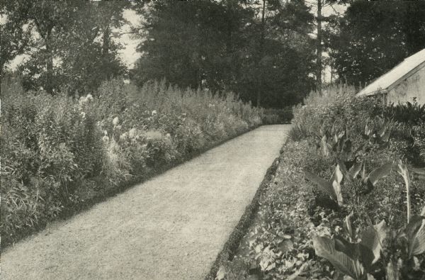 View of a straight gravel path through an informally planted garden. The side and roof of a building can be seen on the right.
