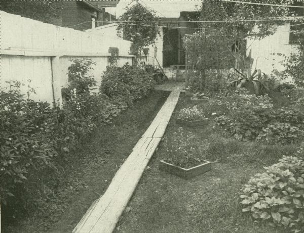 Backyard garden with a plank path bordered on one side by a wooden fence. A clothesline stretches across the yard from a fence post.