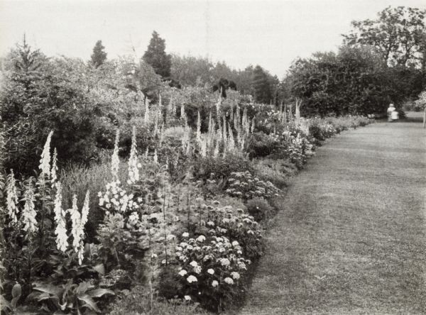 A border of herbaceous perennials with a background of shrubs and trees.