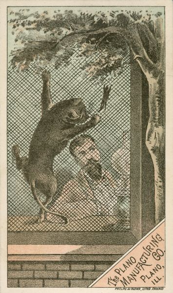 Front view of a trade card created by the Plano Manufacturing Company featuring an illustration of a cat climbing a screened window in pursuit of a mouse. A bearded man is on the other side of the window.