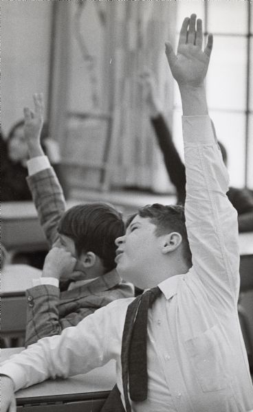 Students raising hands to answer a question in class. The boy in the foreground wears a necktie and looks particularly eager to be called on.