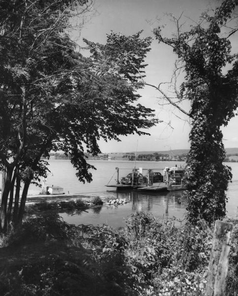 Slightly elevated view through trees from shoreline of the Merrimac ferry with automobiles aboard. A sign on the ferry says: "Colsac".