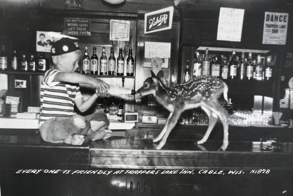 Barefoot boy sitting on a bar and feeding a fawn with a bottle. There is a Schlitz sign on the wall behind the bar and a handwritten sign listing Pabst, Schlitz, and Miller. Caption reads: "Everyone Is Friendly at Trapper's Lake Inn, Cable, Wis."
