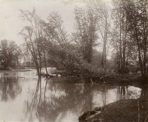 View along shoreline of a meandering portion of the Sugar River, probably in late spring.