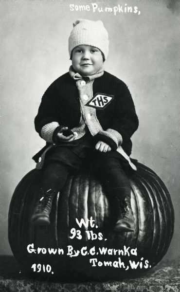 Studio portrait of a young boy sitting on top of a 93 lb. pumpkin grown by C.C. Warnka. The boy wears a knit jacket with a THS (possibly Tomah High School) logo. Written at top, "Some Pumpkins."