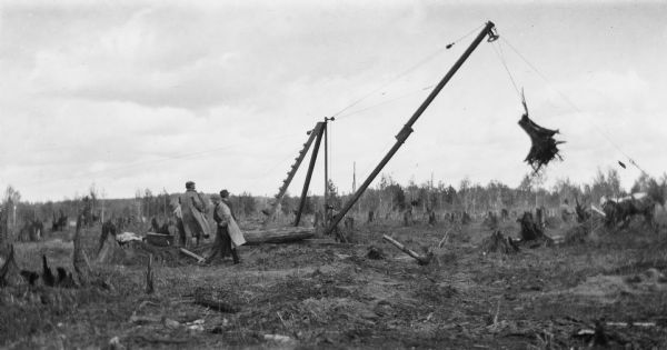 A group of men remove a large stump with the help of horses and a winch on the family farm.