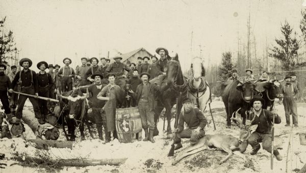 A group portrait of the men at Joe Levine's camp no. 4. Included in the portrait are a dog, oxen, horses and a dead deer.