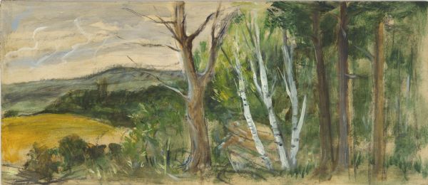 Prior to the 1948 State Fair, artist Robert Hodgell traveled Wisconsin to study its many landscapes. He then produced a series of study sketches outlining the mural compositions. This is one of his original study sketches. The final mural canvas has not been found.

The final canvas did not include any significant agricultural elements but merely provided a visual bookend to the first mural and neatly closed the 1848 scene.