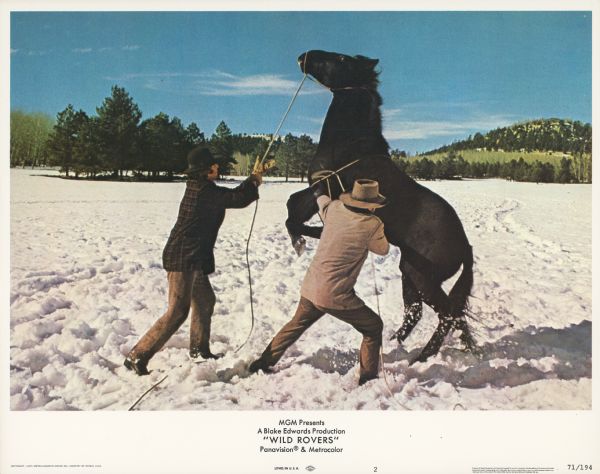 Lobby card for the 1971 MGM film "Wild Rovers" featuring two men attempting to rope a wild horse in a snowy field.