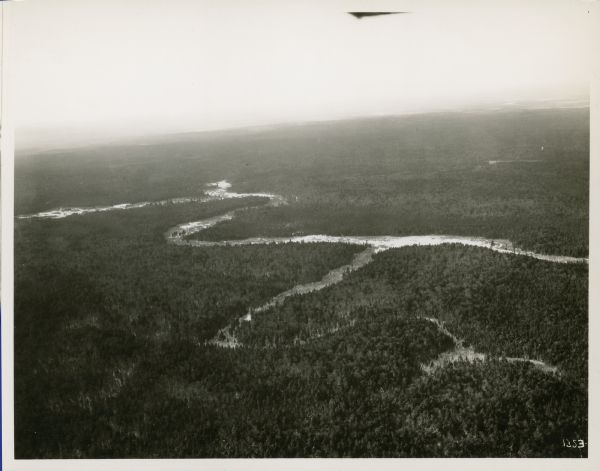 Aerial view of a forest with a river running through it.