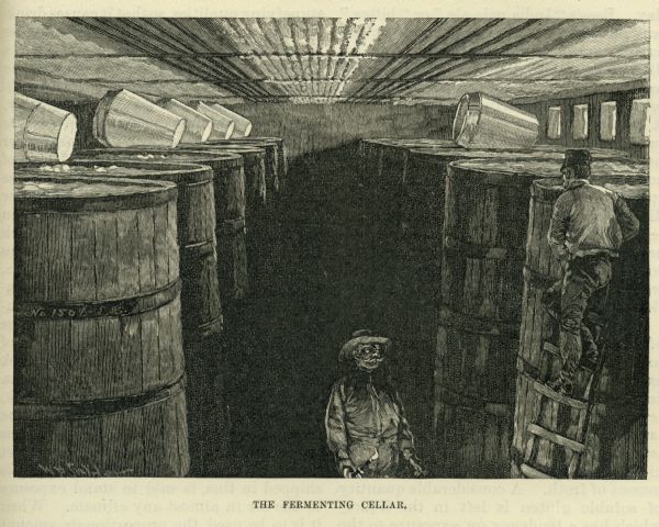 Engraved image of two men working in a cellar full of wooden barrels filled with fermenting beer.