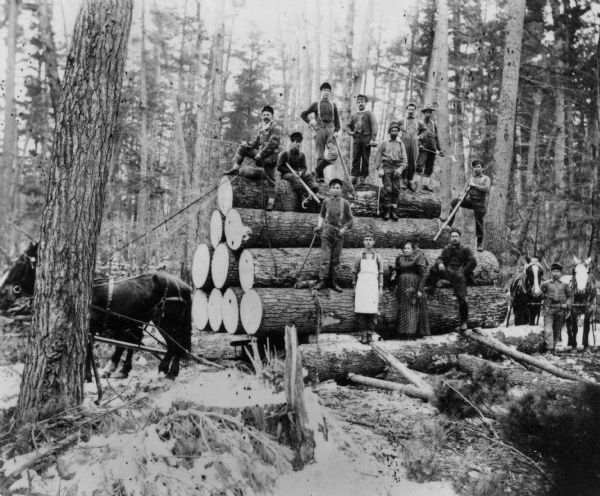Group of twelve men and one woman posed with a load of logs waiting to be pulled by two horses harnessed to a sled. Several of the men hold cant hooks or peaveys. One man wears an apron.