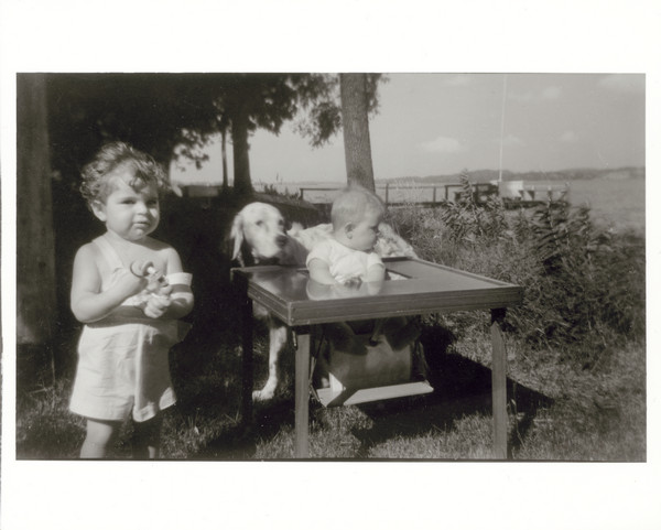 A toddler holding a toy stands outdoors on a lawn next to a baby sitting in a toddler table and a dog. In the background is a pier and a lake.