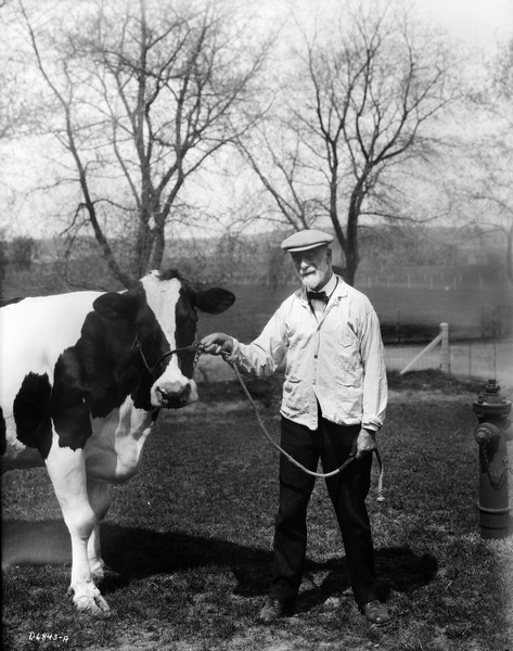 Dr. Stephen M. Babcock posed with a cow in a University of Wisconsin pasture.