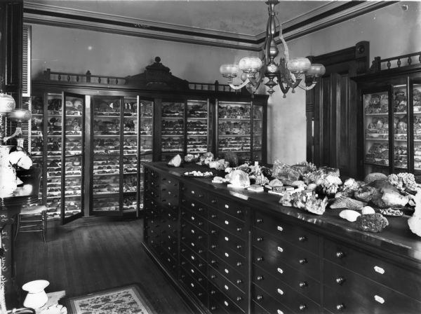 A large collection of fossils, owned by Thomas Greene, which are displayed in his home in glass-fronted wood shelves along the walls, and on top of a wood cabinet of drawers in the middle of the room.
