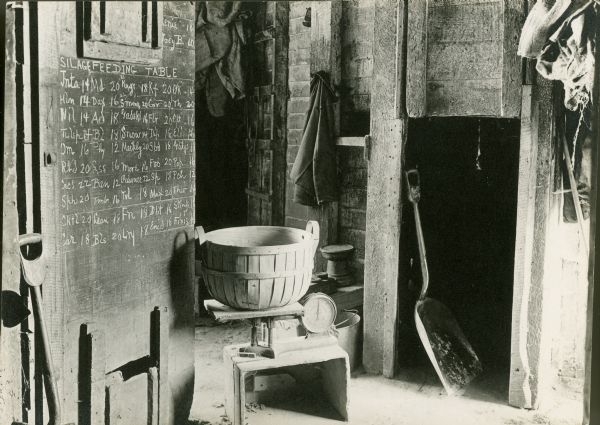 A barn interior showing a basket on a scale next to a silage feeding schedule on the wall. Shovels lean against the walls.