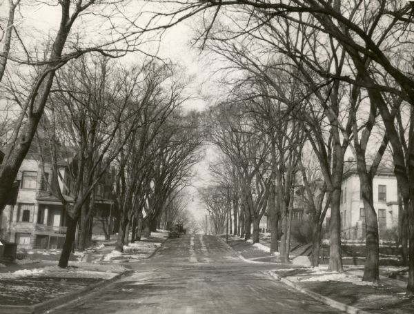 View of tree-lined North Pinckney Street. There is melting snow on the ground. Two cars are parked along the curb in the distance.