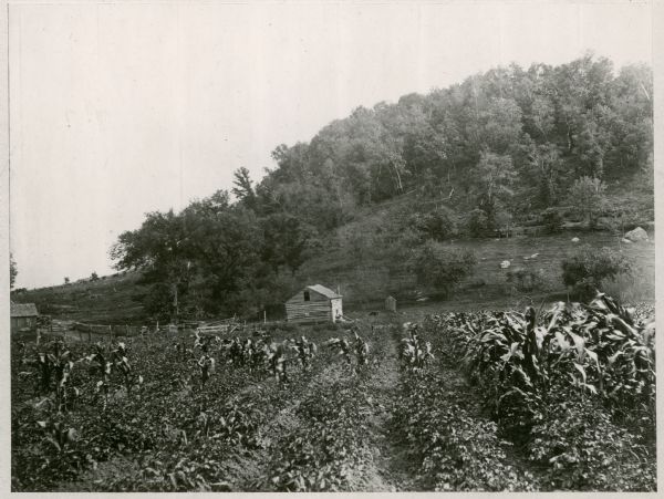 View of a log cabin at the foot of a hill, with a field in the foreground.