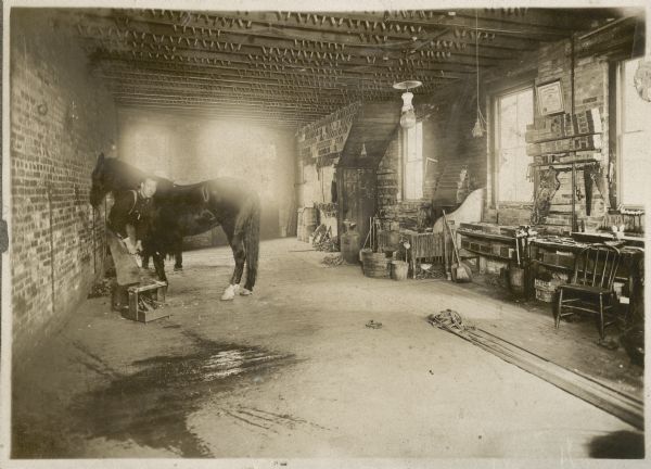 View of the interior of a blacksmith's shop. The blacksmith is shoeing a horse along the brick wall  on the left. Horseshoes hang from rafters of the open ceiling.