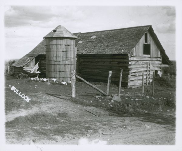 A log farm building and a silo, with a gaggle of geese in the barnyard.