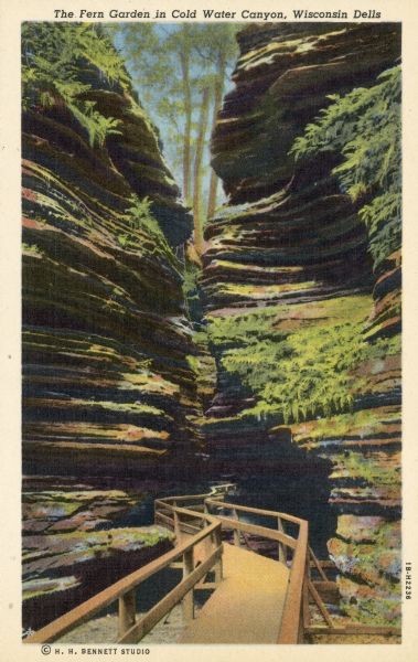 Colorized image of the wooden walkway at the fern garden in Cold Water Canyon. Caption reads: "The Fern Garden in Cold Water Canyon, Wisconsin Dells, Wis."