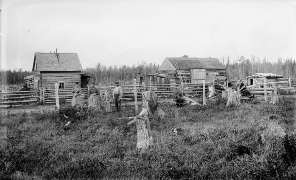 Two women, a man and a child posing on a road adjoining their homestead, with stumpland and a forest behind them.