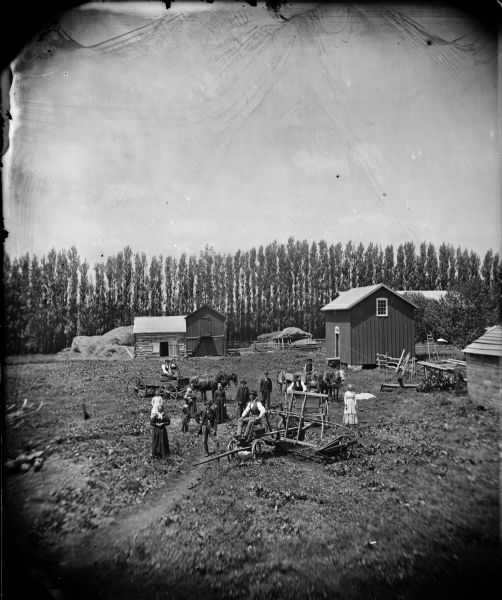 Elevated view of a group of people standing in in a farmyard with a reaper-mower and horse-drawn vehicles. A small log building, haystacks and other farm buildings are in the background in front of a long row of poplars. 
