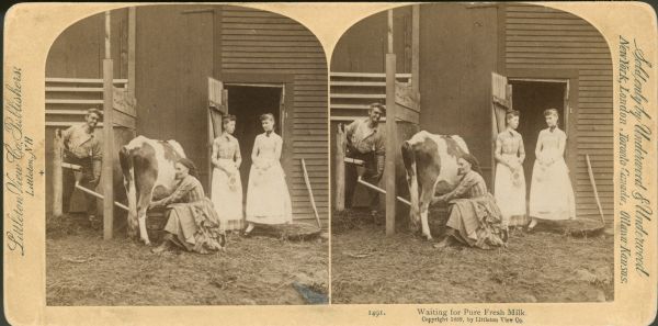 Stereograph of a posed scene showing a woman milking a cow as two other women stand waiting at an open barn door. On the left a man at a hand-pump is behind a half wall, and may be partially hidden from the three women. He is smiling and appears to be adding water through a funnel into the woman's milk pail. Printed caption at foot reads: "Waiting for Pure Fresh Milk. Copyright 1889, by Littleton View Co." On the reverse, "Waiting for Pure Fresh Milk" is printed in six languages. "Chris Bing, Practical Painter" is stamped on the back.