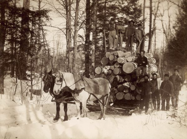 Outdoor group portrait of ten men standing behind a team of two horses in the snow. Standing directly behind the horses in front of the sled loaded with logs is Ole Olson, husband of Helga Aaseth. Standing on top of the stack of logs are Louis Wedin, Morris Anderson, Mike Jerdin and an unidentified man. Seated on the logs is Gust Larson, and standing near him are Louis Aaseth and Ed Erickson, and two other men.
