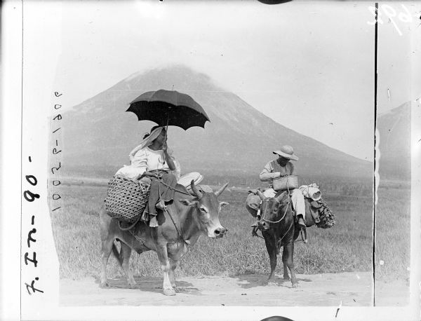 Man and a woman riding on zebu cattle, with fields and a mountain in the background. The people, place, and date of the photograph are unknown. The man and woman are barefoot, and the cattle are loaded with bags and baskets.